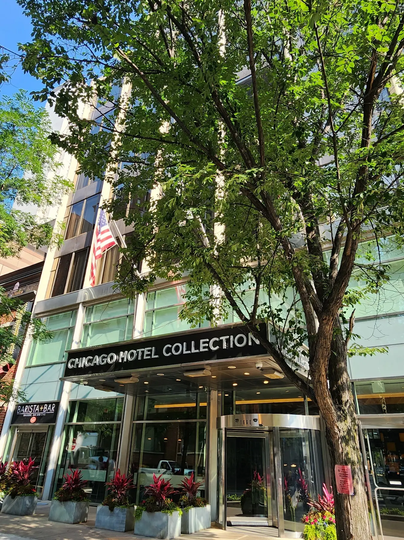 The tree-lined Magnificent Mile hotel exterior on East Superior Street